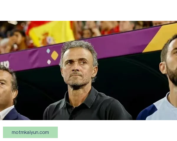 恩里克战术成功案例分析：西班牙国家队表现稳健，逐步提升竞争力